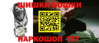 гидра Будённовск