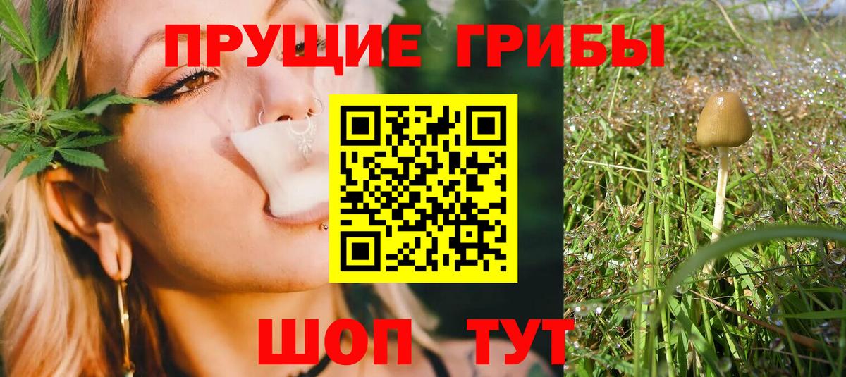 Надым  Псилоцибиновые грибы Psilocybe  наркошоп  Вход с VPN 