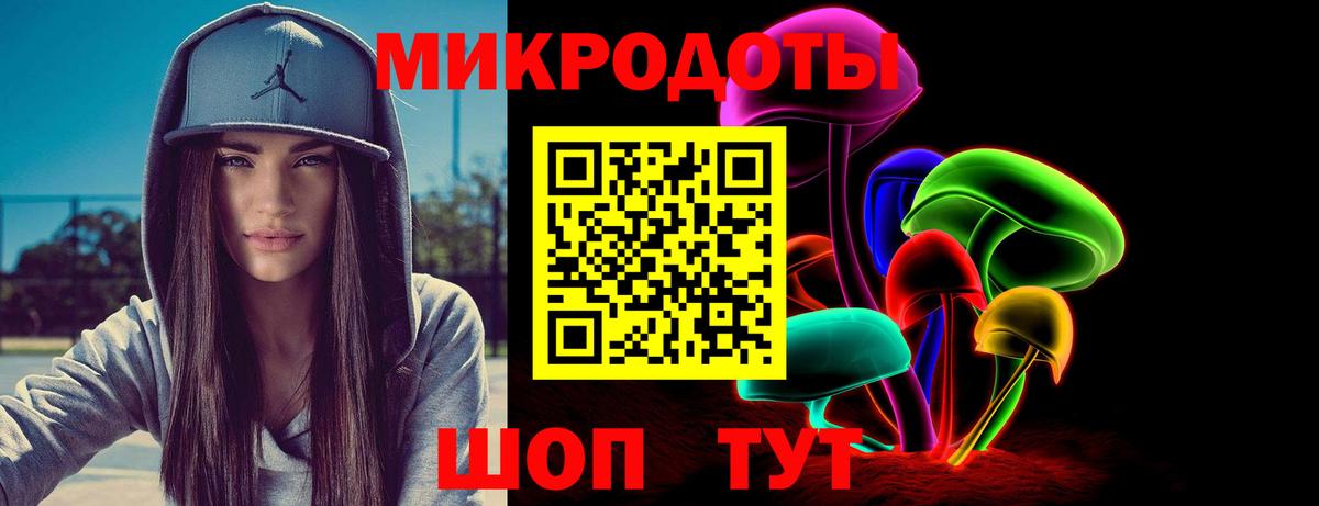 Псилоцибиновые грибы Cubensis Надым